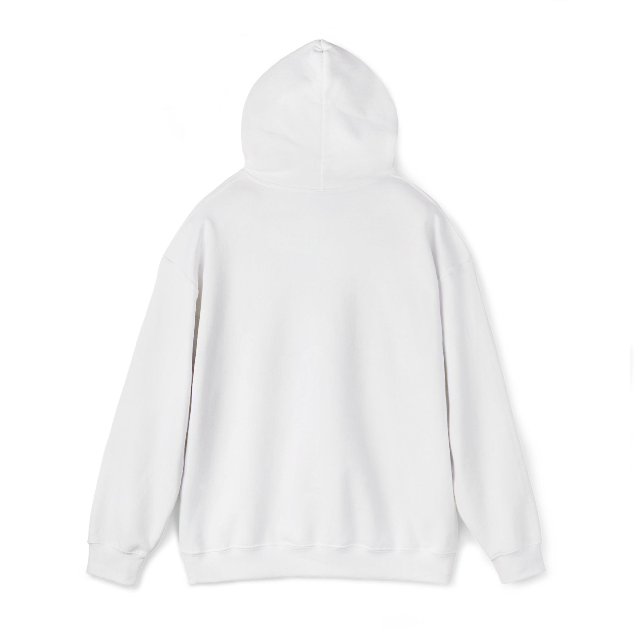 SCI Casual Embroidered Hoodie