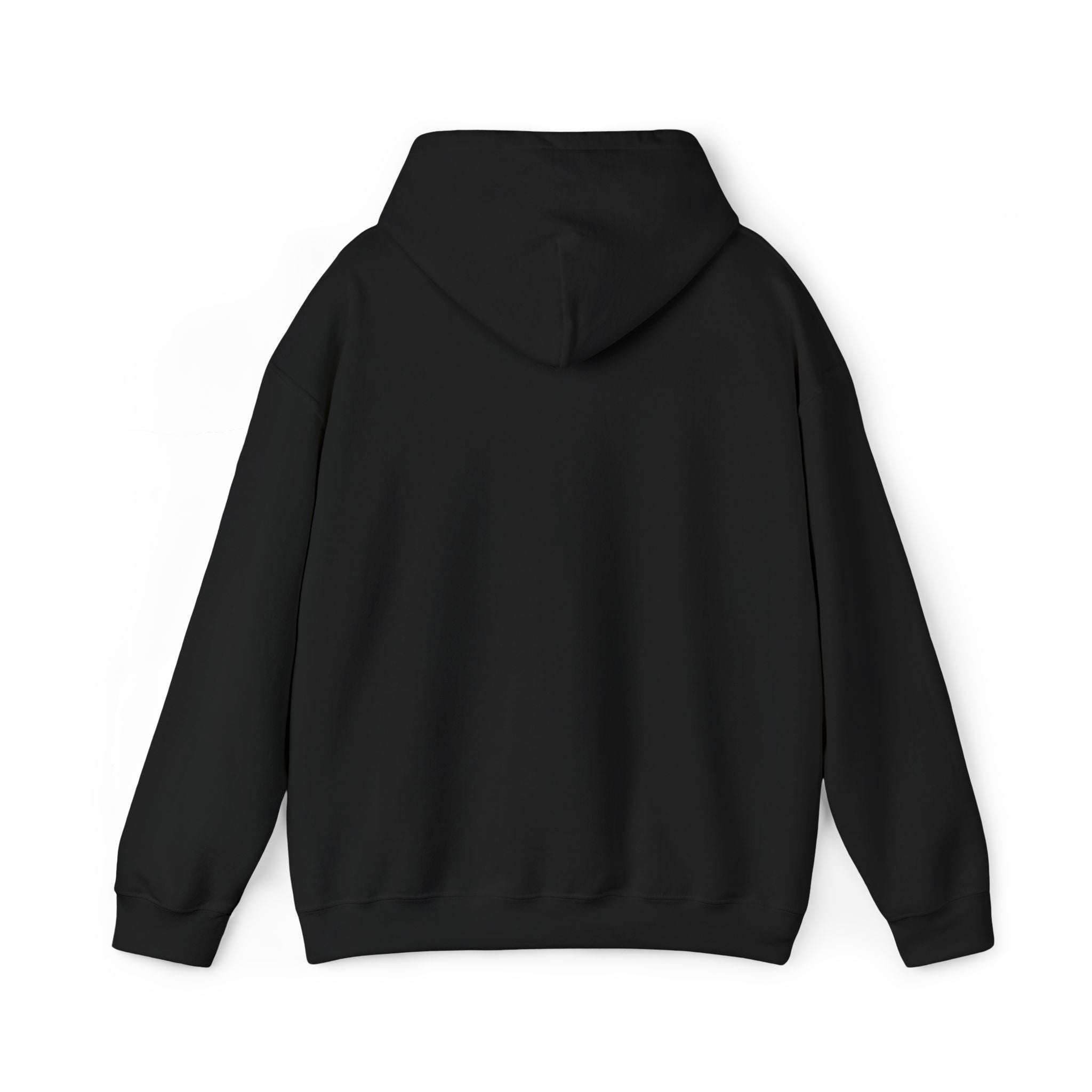 SCI Casual Embroidered Hoodie