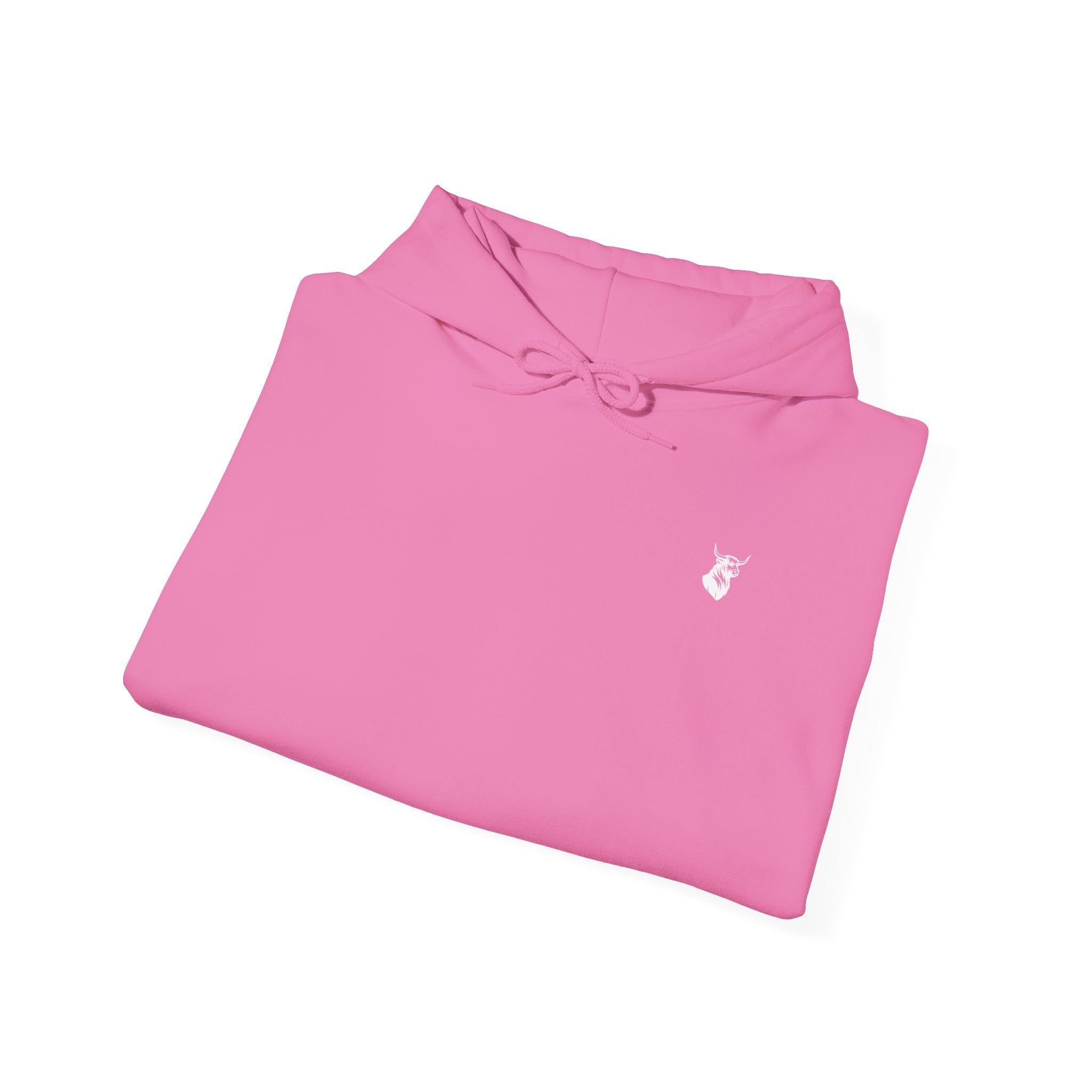 Shazoo Players Club Hoodie