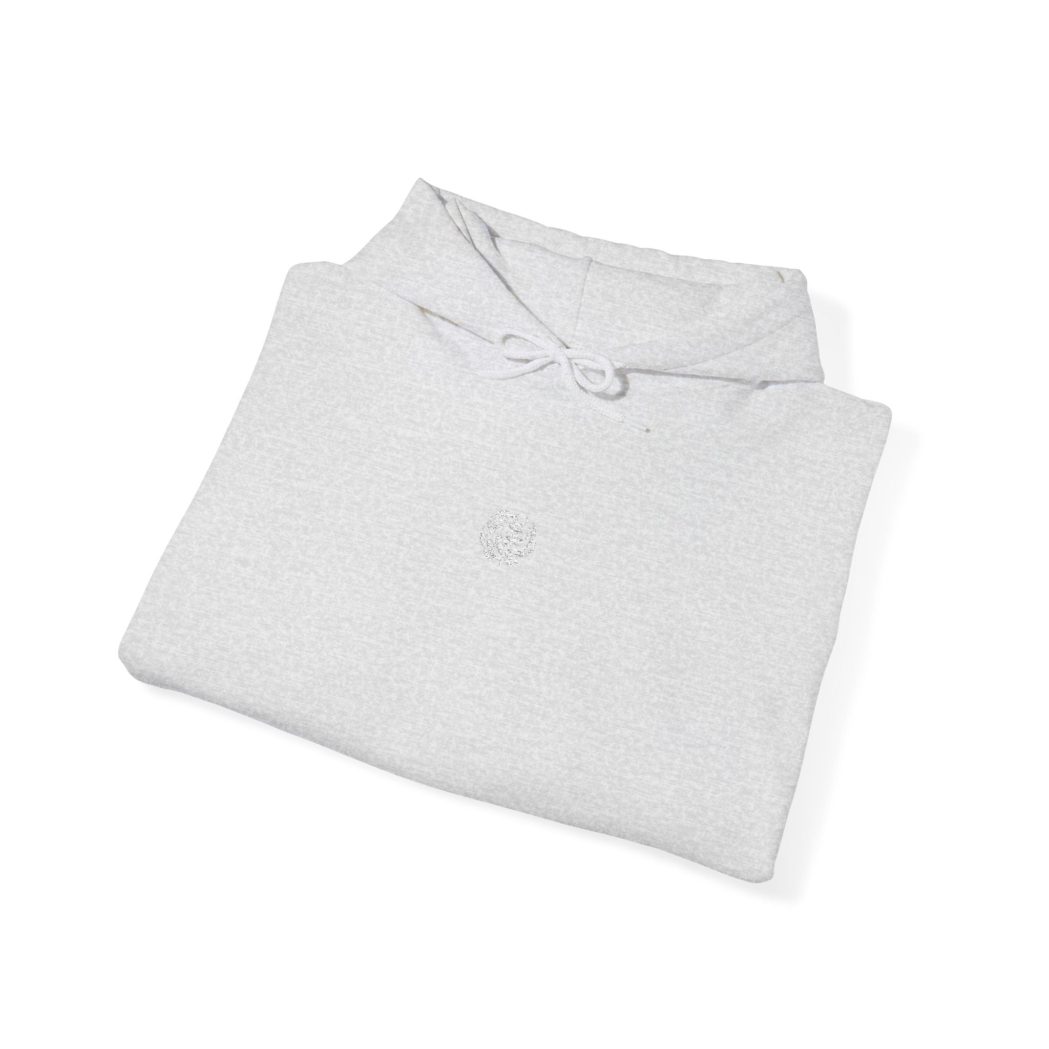 SCI Casual Embroidered Hoodie