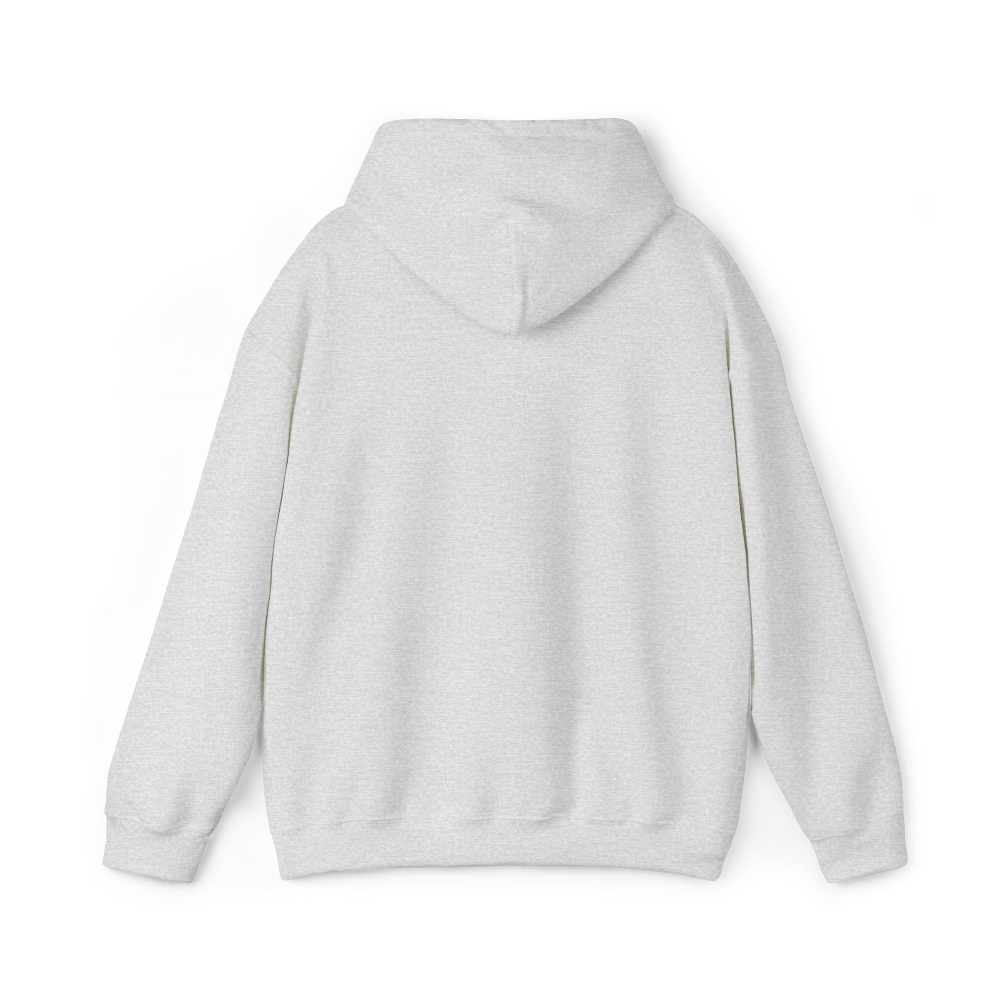 SCI Casual Embroidered Hoodie