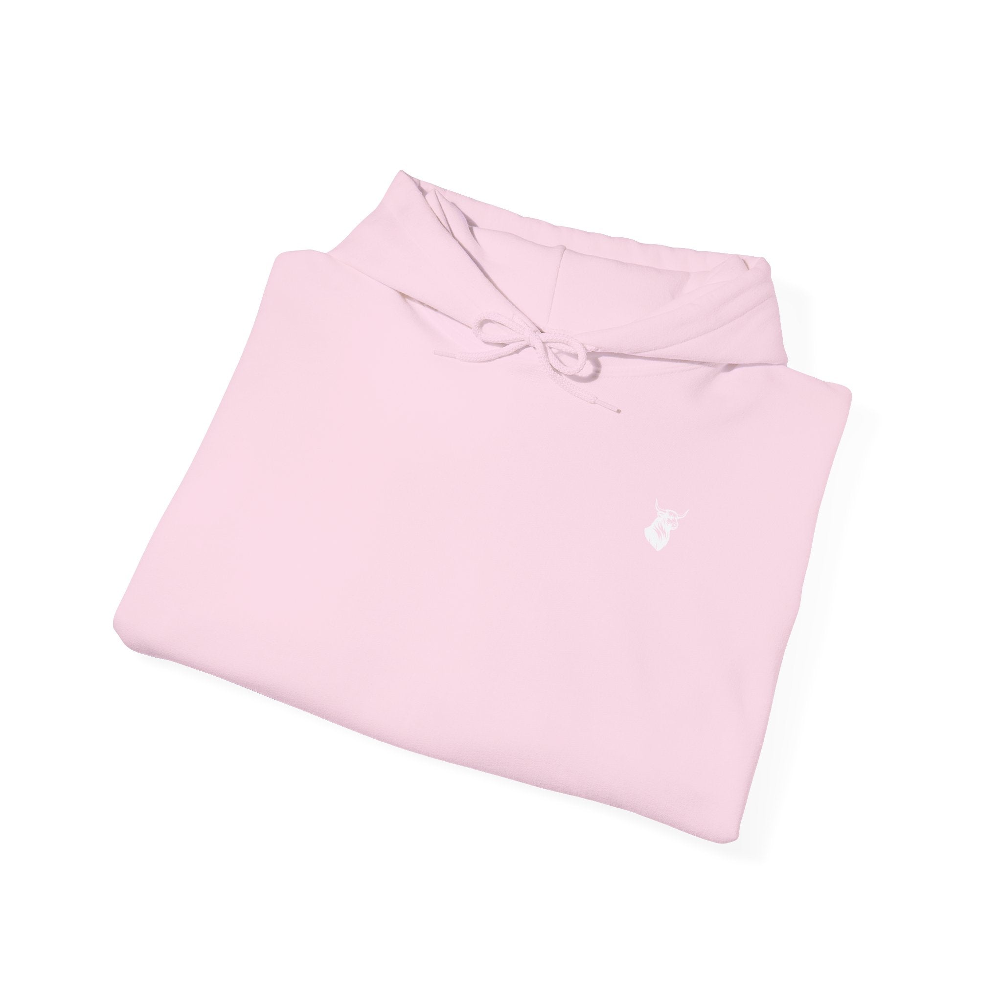 Shazoo Players Club Hoodie